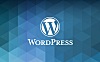 Codestar Framework - 简约实用的wordpress主题选项框架-Npcink