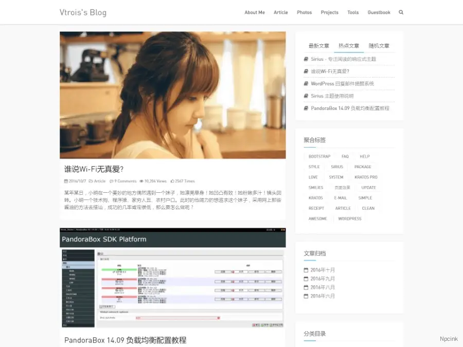 Snape - 极简主义的响应式WordPress博客主题