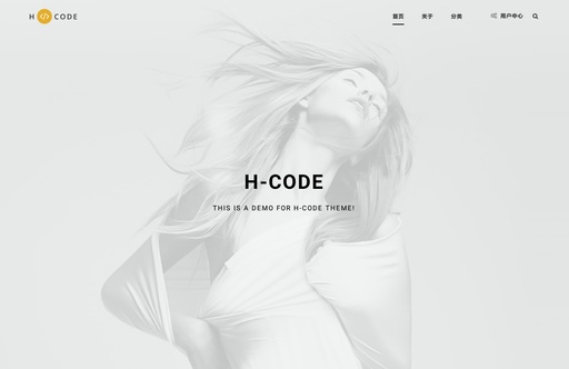 H-Code-大气的模板