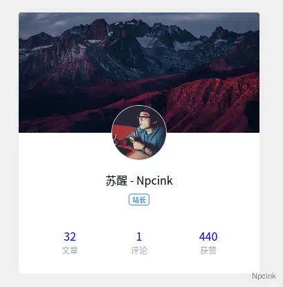 奈斯个人介绍区块 - wordpress区块