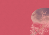 WebGradients - 精选的CSS3,.sketch和.PSD格式的出色渐变集合-Npcink