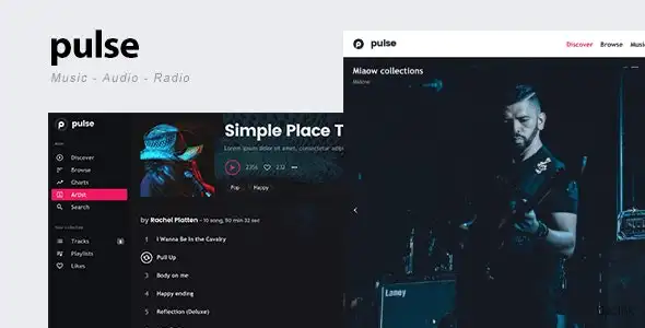 Pulse - 音乐,音频,广播WordPress主题
