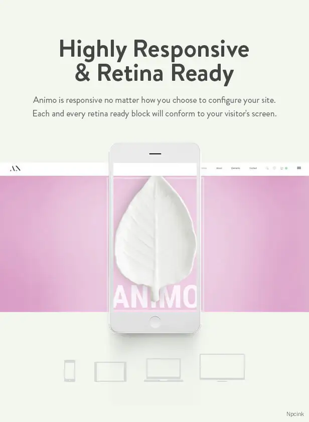 Animo – 創(chuàng)意和清潔的多功能WordPress主題