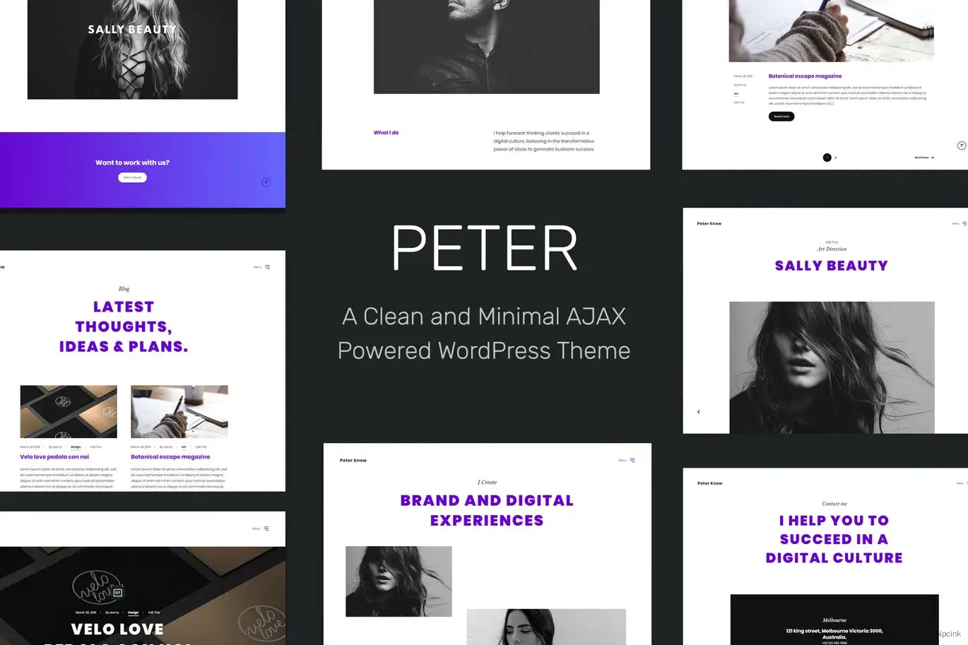 Peter - 基于Ajax的创意WordPress主题