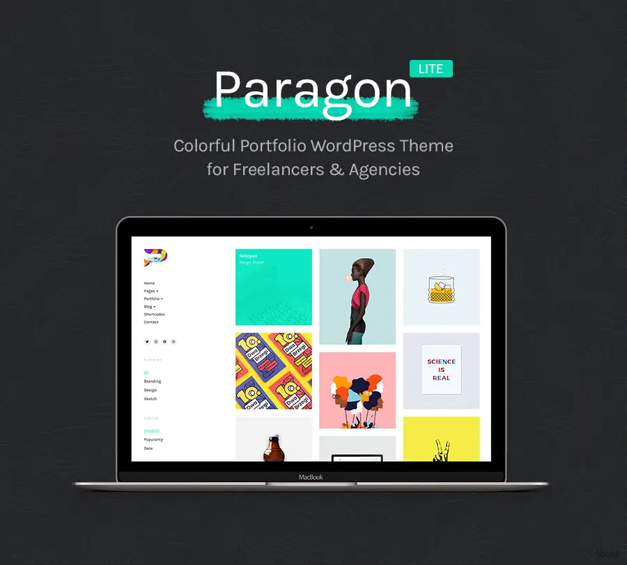 Paragon Lite - 面向自由職業者和代理商的多彩投資組合