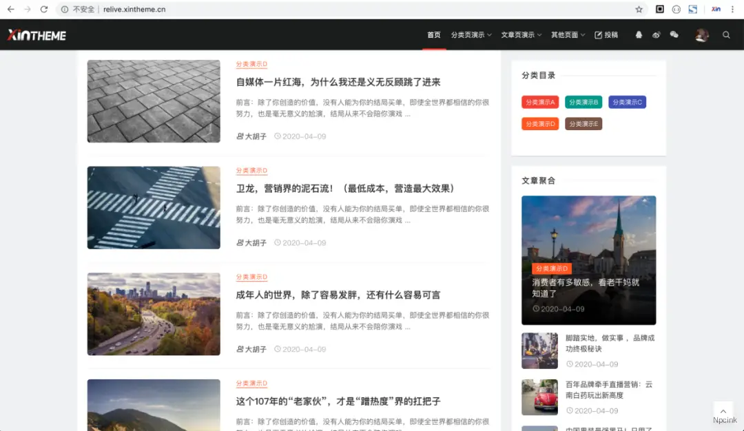Relive Pro - 数十种布局样式,真正模块化的WordPress主题
