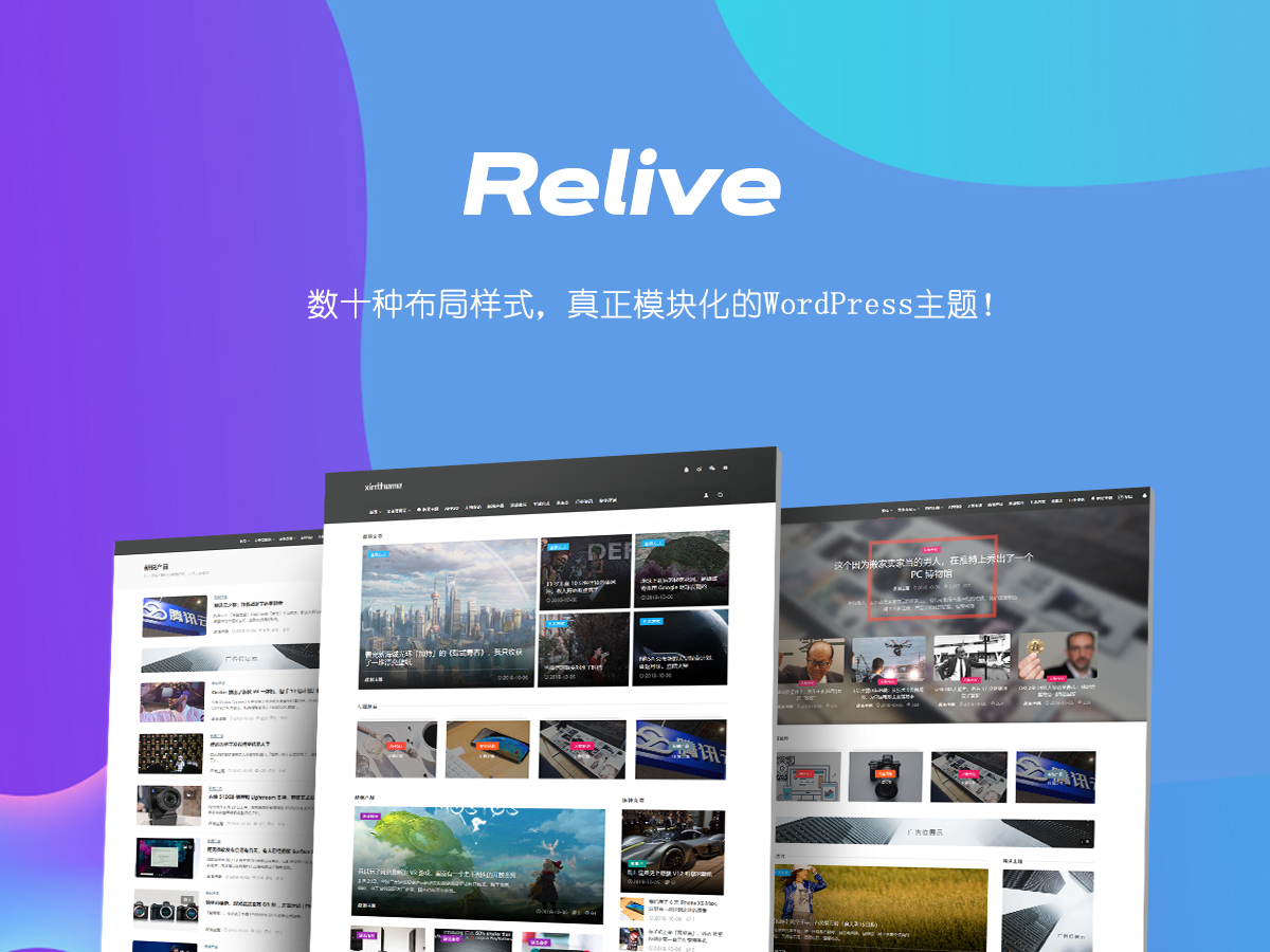 Relive Pro - 數十種布局樣式,真正模塊化的WordPress主題