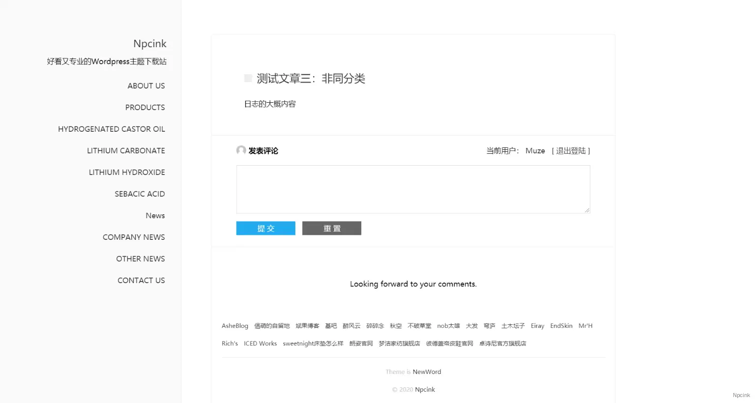 NewWord - 支持pjax的极简wordpress主题