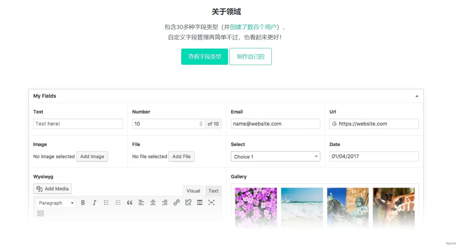 Advanced custom fields - WordPress開發人員的高級自定義字段插件