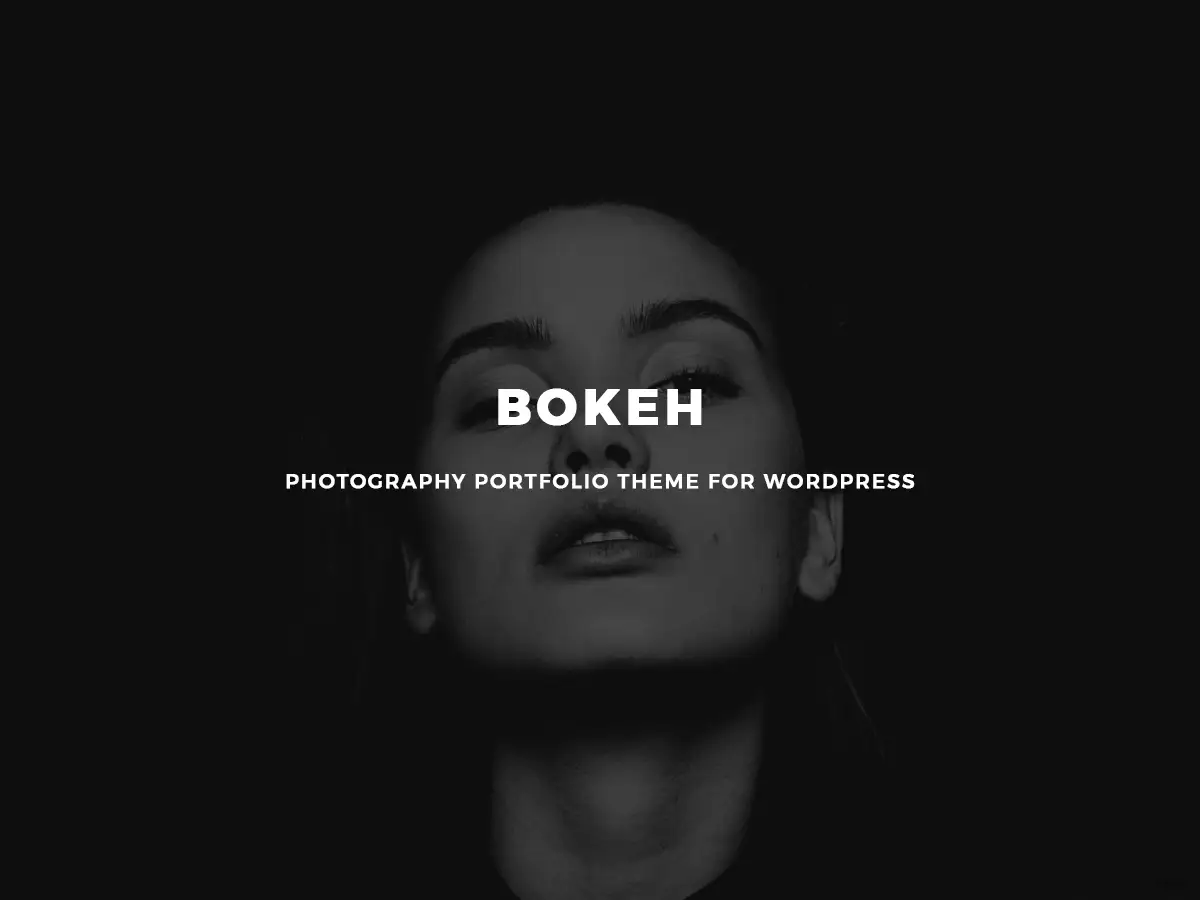 Bokeh - 摄影作品集wordpress主题
