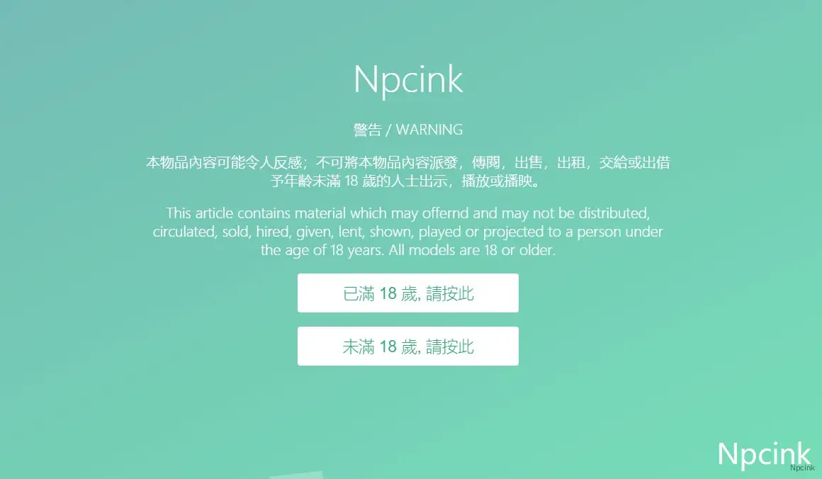 成人內(nèi)容警告代碼 - wordpress開發(fā)