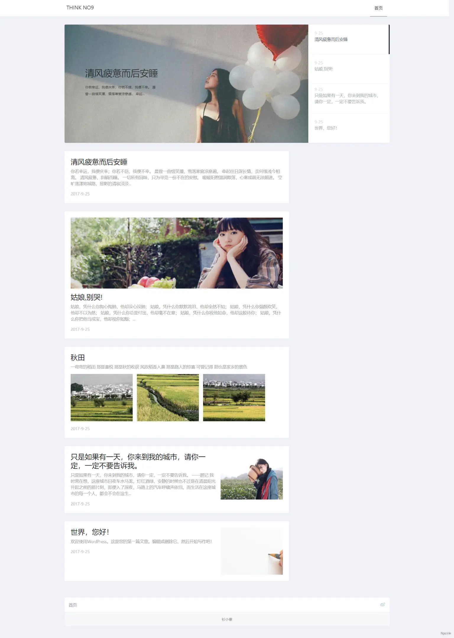 No.9 - 簡潔的雙欄博客wordpress主題（未發(fā)布）