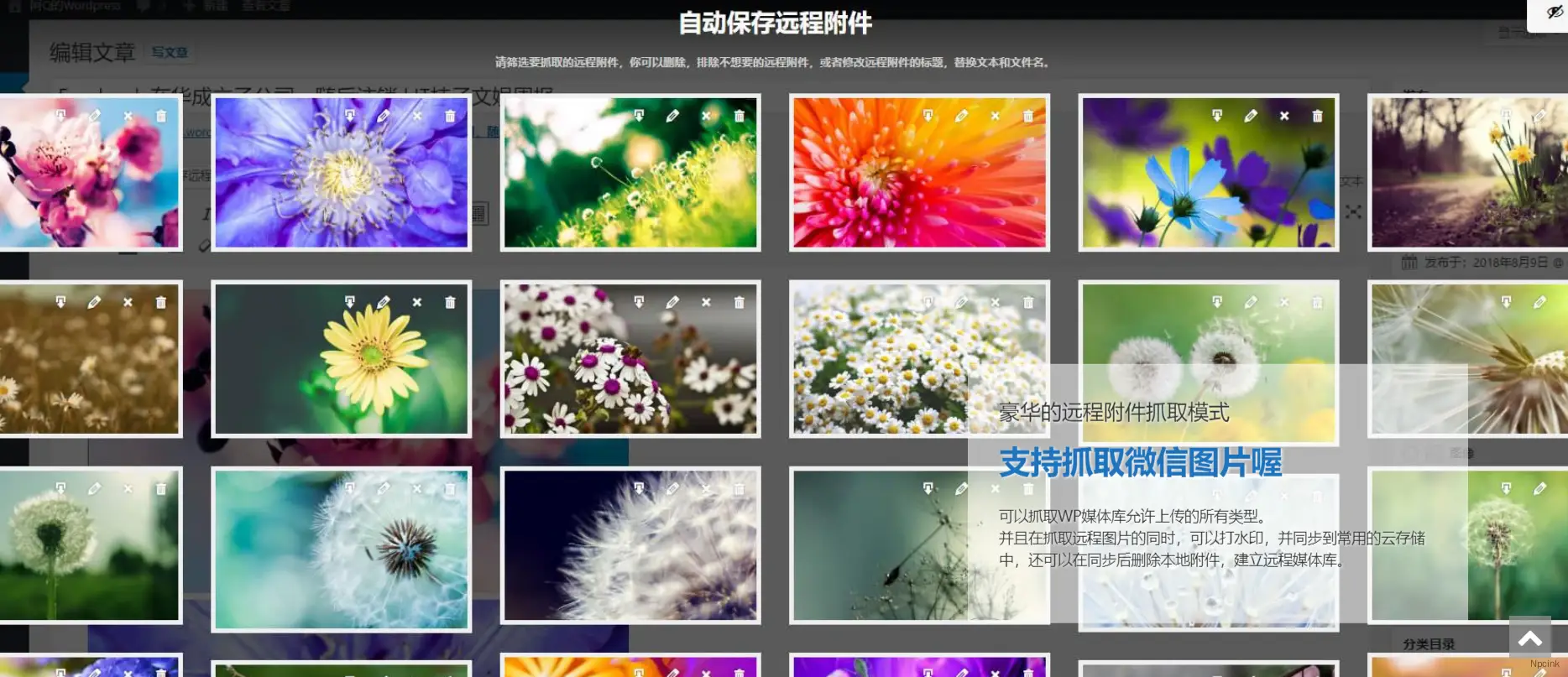 QQWorld收藏家豪華版(QQWorld Collector Deluxe) - WordPress采集插件