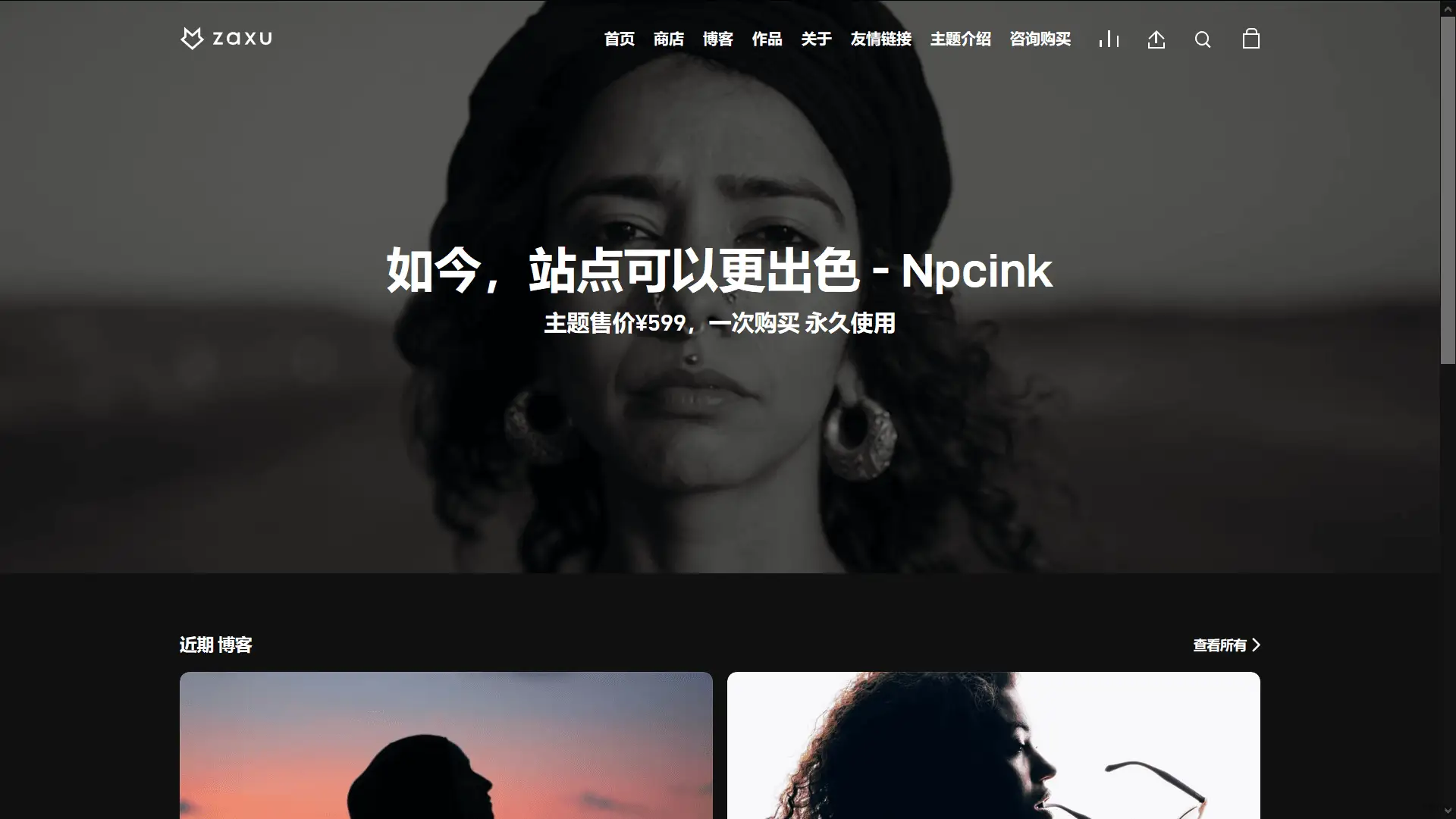Zaxu一键导入演示数据 - WordPress主题教程