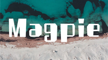 Magpie – 简约Typecho主题