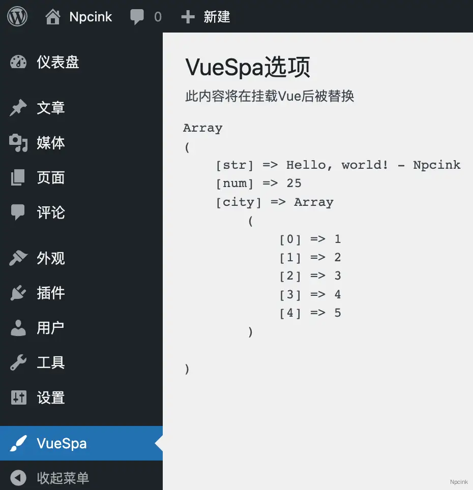 第一节:Vue3 开发WordPress设置选项 - PHP传数据给JS