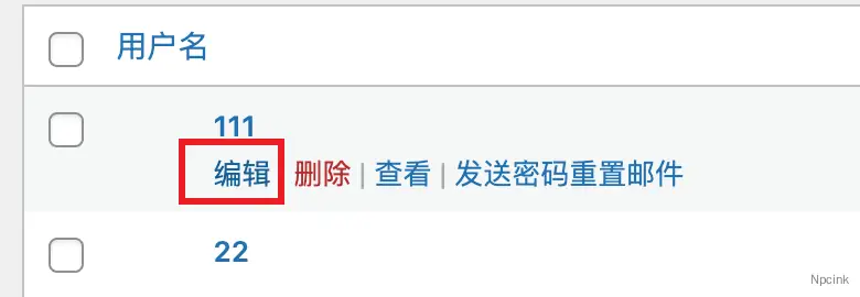 02:講透WordPress 菜單開發 - 權限控制與加載指定JS